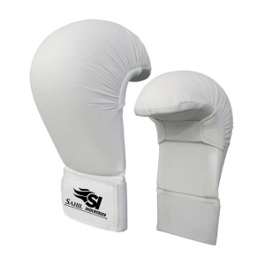 Karate Mitt