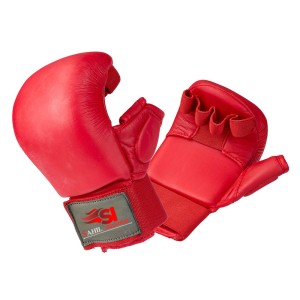 Karate Mitt