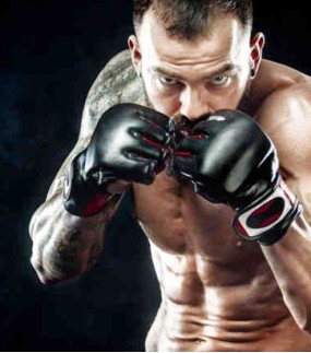 MMA Gloves